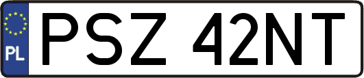 PSZ42NT