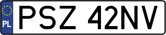 PSZ42NV