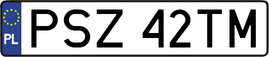 PSZ42TM