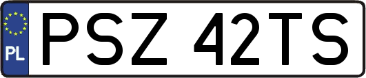 PSZ42TS