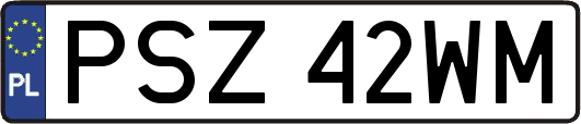 PSZ42WM