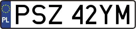 PSZ42YM