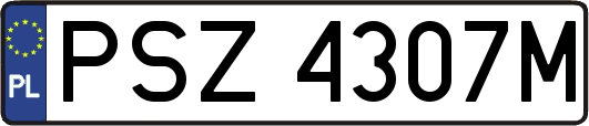 PSZ4307M