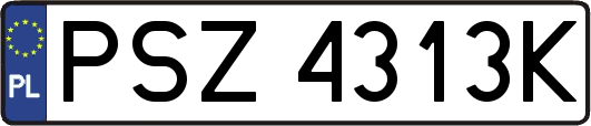 PSZ4313K