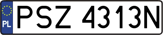 PSZ4313N