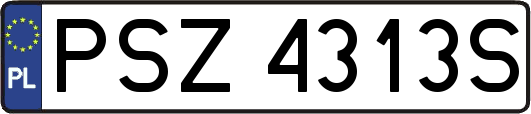 PSZ4313S