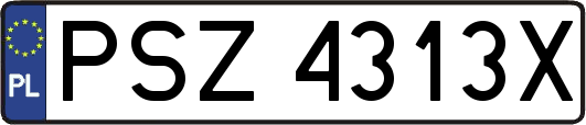 PSZ4313X