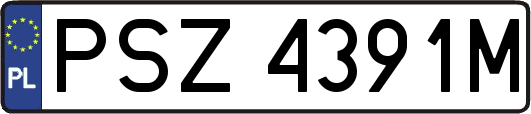 PSZ4391M