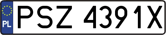 PSZ4391X