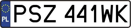 PSZ441WK