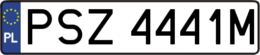 PSZ4441M