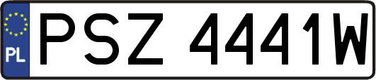 PSZ4441W