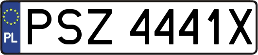 PSZ4441X