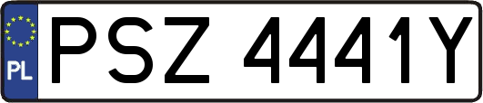 PSZ4441Y
