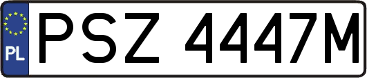 PSZ4447M
