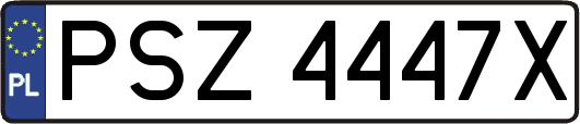 PSZ4447X