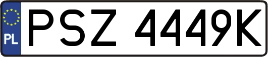PSZ4449K
