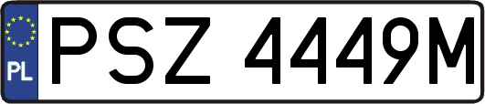 PSZ4449M