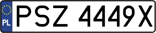 PSZ4449X