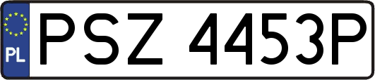 PSZ4453P