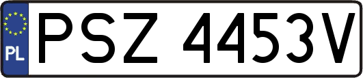 PSZ4453V