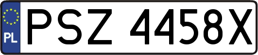 PSZ4458X