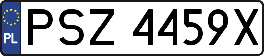 PSZ4459X