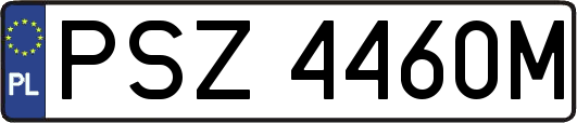 PSZ4460M