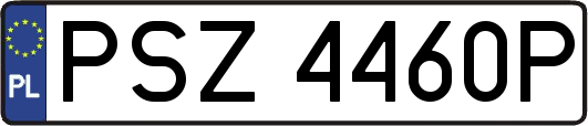 PSZ4460P