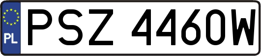 PSZ4460W