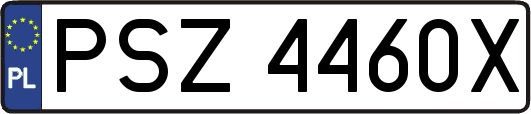PSZ4460X