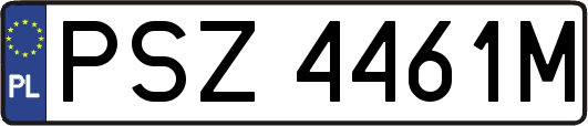 PSZ4461M