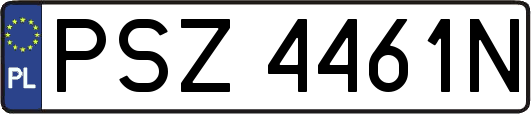 PSZ4461N