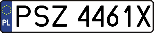 PSZ4461X
