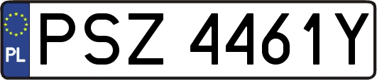 PSZ4461Y