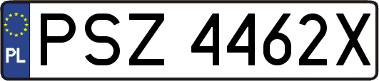 PSZ4462X