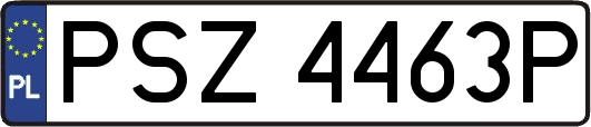 PSZ4463P