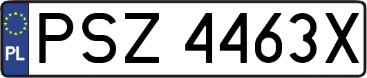 PSZ4463X