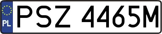 PSZ4465M