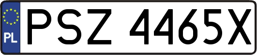 PSZ4465X