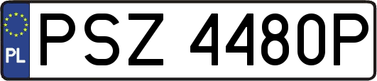 PSZ4480P
