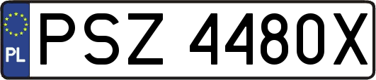PSZ4480X