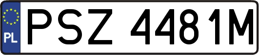 PSZ4481M