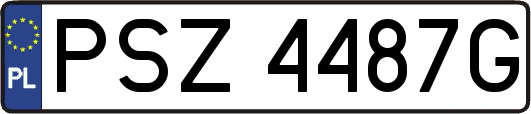 PSZ4487G