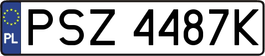 PSZ4487K