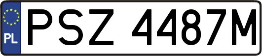 PSZ4487M
