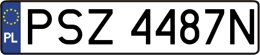 PSZ4487N
