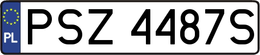 PSZ4487S