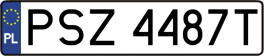 PSZ4487T