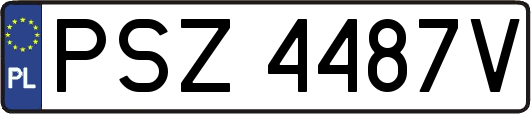 PSZ4487V